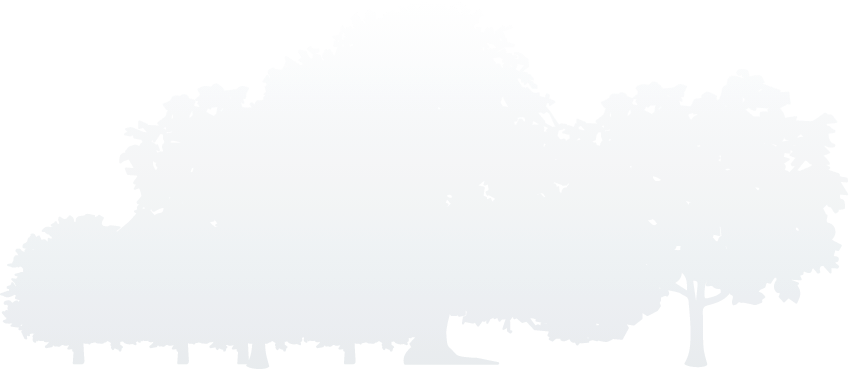 永乐国际